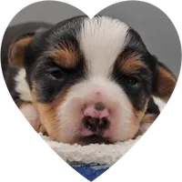 processed/f512a548-1724-405a-b18c-bba84a2c2286/listing/de89068b-bfca-4b23-a66e-b000c2c46609/13452796-3a35-4b5a-9911-963f4ae5417c