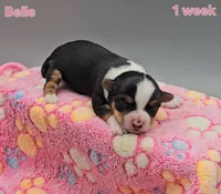 processed/f512a548-1724-405a-b18c-bba84a2c2286/listing/de89068b-bfca-4b23-a66e-b000c2c46609/15bd28e7-3e55-4766-a36b-3410261ba9d9