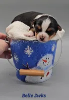 processed/f512a548-1724-405a-b18c-bba84a2c2286/listing/de89068b-bfca-4b23-a66e-b000c2c46609/1f45970c-de8b-4f45-9811-2664bcb7b01b