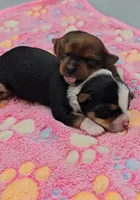 processed/f512a548-1724-405a-b18c-bba84a2c2286/listing/de89068b-bfca-4b23-a66e-b000c2c46609/29dbcd91-4245-44f1-8b29-60c560893534