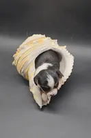 processed/f512a548-1724-405a-b18c-bba84a2c2286/listing/de89068b-bfca-4b23-a66e-b000c2c46609/60bd3142-5471-495b-a7e7-26510d161da2