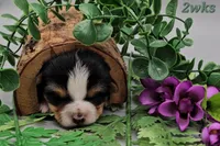 processed/f512a548-1724-405a-b18c-bba84a2c2286/listing/de89068b-bfca-4b23-a66e-b000c2c46609/d3278131-9416-41b1-8673-77fcab08a44a