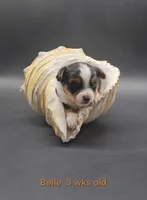 processed/f512a548-1724-405a-b18c-bba84a2c2286/listing/de89068b-bfca-4b23-a66e-b000c2c46609/eae0c64f-47c4-4990-be91-43b1fbdeb8dc