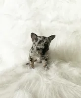 processed/f513806b-f8fe-4371-8081-d655f8959e64/listing/bcccc188-c678-4ee3-9325-d62f98fe622b/70fe4e0a-557b-4f4a-9dd2-b1c0819039fa