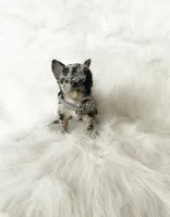 processed/f513806b-f8fe-4371-8081-d655f8959e64/listing/bcccc188-c678-4ee3-9325-d62f98fe622b/7c503a66-6c8d-46a9-b85d-4081ac057e20