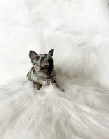 processed/f513806b-f8fe-4371-8081-d655f8959e64/listing/bcccc188-c678-4ee3-9325-d62f98fe622b/7ea5ba82-71bf-4d7a-8ba8-47ff5399cbea