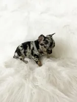 processed/f513806b-f8fe-4371-8081-d655f8959e64/listing/bcccc188-c678-4ee3-9325-d62f98fe622b/7f0148e8-c4f7-4675-9849-f27572fbf7ff