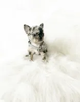 processed/f513806b-f8fe-4371-8081-d655f8959e64/listing/bcccc188-c678-4ee3-9325-d62f98fe622b/ac76e714-dee5-4bc4-a57d-d374841d9eb4