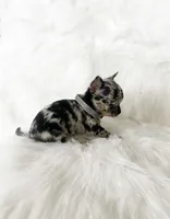 processed/f513806b-f8fe-4371-8081-d655f8959e64/listing/bcccc188-c678-4ee3-9325-d62f98fe622b/cb4ac11f-ae1e-4c6f-a3a7-bc9bacc70797