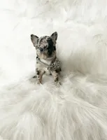 processed/f513806b-f8fe-4371-8081-d655f8959e64/listing/bcccc188-c678-4ee3-9325-d62f98fe622b/cd4b757a-9fff-49de-a83a-eec16dd19e60