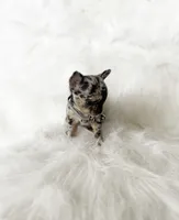 processed/f513806b-f8fe-4371-8081-d655f8959e64/listing/bcccc188-c678-4ee3-9325-d62f98fe622b/f6cdba03-1b1f-49ea-9e55-eaf127a62f64