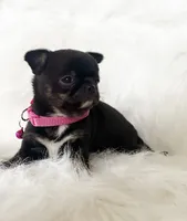 processed/f513806b-f8fe-4371-8081-d655f8959e64/listing/d60adc3d-d49a-407b-9a9f-676c3b7157f2/256d6758-b9fb-43d3-879c-6d63228bb686