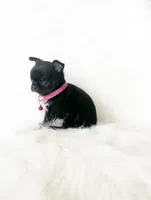 processed/f513806b-f8fe-4371-8081-d655f8959e64/listing/d60adc3d-d49a-407b-9a9f-676c3b7157f2/7ad16431-7dd6-4db1-ba81-2576ba5d88ba