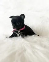 processed/f513806b-f8fe-4371-8081-d655f8959e64/listing/d60adc3d-d49a-407b-9a9f-676c3b7157f2/9261cd9b-e8a4-42a0-bae8-1d9afebd6401