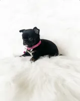 processed/f513806b-f8fe-4371-8081-d655f8959e64/listing/d60adc3d-d49a-407b-9a9f-676c3b7157f2/bb3fcce4-5b62-4f95-b234-31eeca3530f0