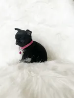 processed/f513806b-f8fe-4371-8081-d655f8959e64/listing/d60adc3d-d49a-407b-9a9f-676c3b7157f2/e4684777-2488-4893-99be-99c2a036b68c