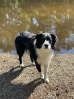 processed/f5229cd5-9e11-4bc4-941f-c2ea784b63ef/facility/547e687e-9bb7-4eb0-b5b1-fdb12713667d