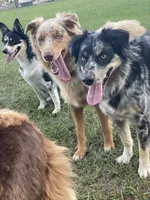 processed/f5229cd5-9e11-4bc4-941f-c2ea784b63ef/facility/a98d6f5c-0016-4df5-92b6-c33b1729510d