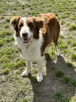 processed/f5229cd5-9e11-4bc4-941f-c2ea784b63ef/facility/b666042c-29b4-481d-8e03-2572579eda62