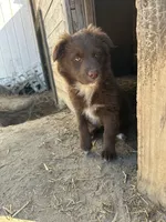 processed/f5229cd5-9e11-4bc4-941f-c2ea784b63ef/listing/72329b8f-adb6-4fa0-8859-980fb7d2ba3c/48de053a-0308-4d08-abb8-b7318d869dbd