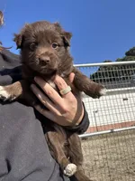 processed/f5229cd5-9e11-4bc4-941f-c2ea784b63ef/listing/72329b8f-adb6-4fa0-8859-980fb7d2ba3c/5ca97af2-3040-4b25-b2d9-b24ac3f1d845