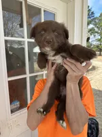 processed/f5229cd5-9e11-4bc4-941f-c2ea784b63ef/listing/72329b8f-adb6-4fa0-8859-980fb7d2ba3c/8c173ac8-c411-4e63-a5c5-50949513fa3e