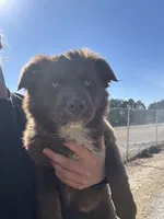 processed/f5229cd5-9e11-4bc4-941f-c2ea784b63ef/listing/72329b8f-adb6-4fa0-8859-980fb7d2ba3c/d08d957c-35ab-4b67-9096-64428fd3df79