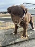 processed/f5229cd5-9e11-4bc4-941f-c2ea784b63ef/listing/72329b8f-adb6-4fa0-8859-980fb7d2ba3c/d8663f43-aa2e-4921-8e79-612ffd438cf2