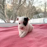 processed/f5294ce4-fa62-4931-bc5e-4e8f404ecfb6/listing/65b62afb-3ecd-42d0-83c5-1c6e010d78ae/89e695a7-9336-4634-a23f-ea2d9d814211