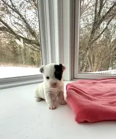 processed/f5294ce4-fa62-4931-bc5e-4e8f404ecfb6/listing/65b62afb-3ecd-42d0-83c5-1c6e010d78ae/b308cf73-da1e-4e9a-8dca-615263edcd89