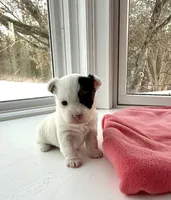 processed/f5294ce4-fa62-4931-bc5e-4e8f404ecfb6/listing/65b62afb-3ecd-42d0-83c5-1c6e010d78ae/c04a9724-55f1-45d1-8d17-e2d1a1d0ba6b