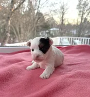 processed/f5294ce4-fa62-4931-bc5e-4e8f404ecfb6/listing/65b62afb-3ecd-42d0-83c5-1c6e010d78ae/f4967dc1-0e62-4e12-99b8-525ce642c189