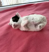 processed/f5294ce4-fa62-4931-bc5e-4e8f404ecfb6/listing/65b62afb-3ecd-42d0-83c5-1c6e010d78ae/fa3114b0-7bb2-4d78-8940-cced52e509f3