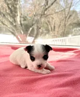 processed/f5294ce4-fa62-4931-bc5e-4e8f404ecfb6/listing/89cf8682-ad0d-4e2f-9991-54b8c66fb6cb/3266b825-2ff9-4258-84a5-13f2c1b4d7f6