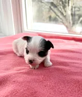 processed/f5294ce4-fa62-4931-bc5e-4e8f404ecfb6/listing/89cf8682-ad0d-4e2f-9991-54b8c66fb6cb/4f38f0bc-92ae-4930-8bb5-44bca49edcdb