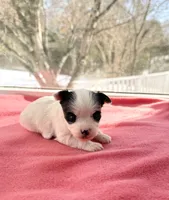 processed/f5294ce4-fa62-4931-bc5e-4e8f404ecfb6/listing/89cf8682-ad0d-4e2f-9991-54b8c66fb6cb/9db840e7-89a8-4798-8a65-eb19d1581408