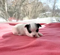 processed/f5294ce4-fa62-4931-bc5e-4e8f404ecfb6/listing/89cf8682-ad0d-4e2f-9991-54b8c66fb6cb/dcb81a7a-be57-402e-8ec0-08a87c450c41