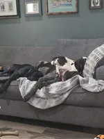 processed/f5308cdc-9e4b-4210-b486-d194c7688390/facility/1b7aab21-efb5-44c7-aa8e-28cae32628b1