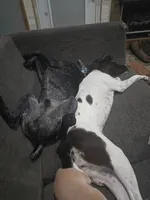 processed/f5308cdc-9e4b-4210-b486-d194c7688390/facility/22fd5cb9-3d88-44b5-b8a1-e3f631b7ae80