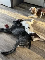 processed/f5308cdc-9e4b-4210-b486-d194c7688390/facility/3a2e570c-6cf5-4fee-bcf5-e07267b2151f