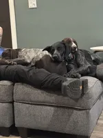 processed/f5308cdc-9e4b-4210-b486-d194c7688390/facility/4c8195e9-8f66-4b6a-ac05-28405454a661