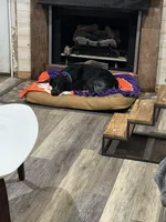 processed/f5308cdc-9e4b-4210-b486-d194c7688390/facility/62079fea-b999-4f95-af1b-cd20ae0ecdec