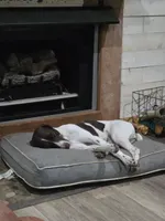 processed/f5308cdc-9e4b-4210-b486-d194c7688390/facility/89c3aeb6-aafe-4643-a6ed-c3b4276ca60e