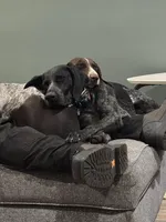 processed/f5308cdc-9e4b-4210-b486-d194c7688390/facility/9d21e9c0-93f5-4ee6-9d38-7d8d0ee9599d