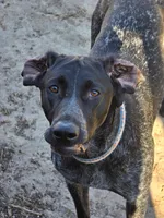 processed/f5308cdc-9e4b-4210-b486-d194c7688390/facility/b5d52658-aa36-483c-b4fa-885f35e6b19a