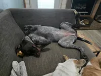 processed/f5308cdc-9e4b-4210-b486-d194c7688390/facility/f2f4029c-196c-4901-8666-d6671702f7db