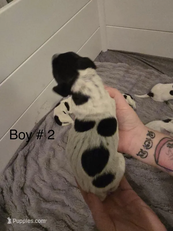 Boy #2 