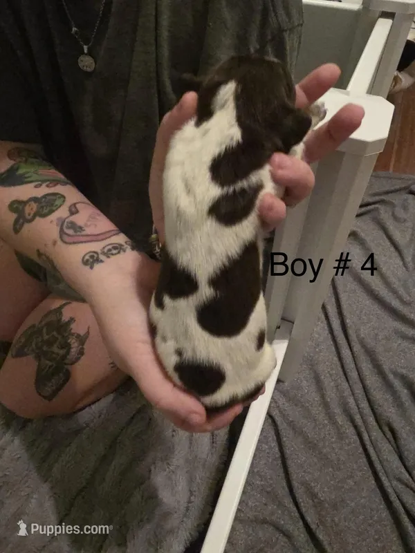Boy # 4
