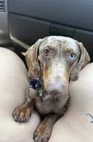 processed/f5517c74-8c08-4ffb-a9f5-6e7e4943700b/listing/30c6e1de-9801-4282-ac9b-ecf3bb07ebfb/1bd261c6-1e6f-45f6-92ec-11d834f4dd35