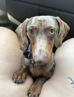 processed/f5517c74-8c08-4ffb-a9f5-6e7e4943700b/listing/30c6e1de-9801-4282-ac9b-ecf3bb07ebfb/36609584-1500-4157-a1fa-494c6f825d36